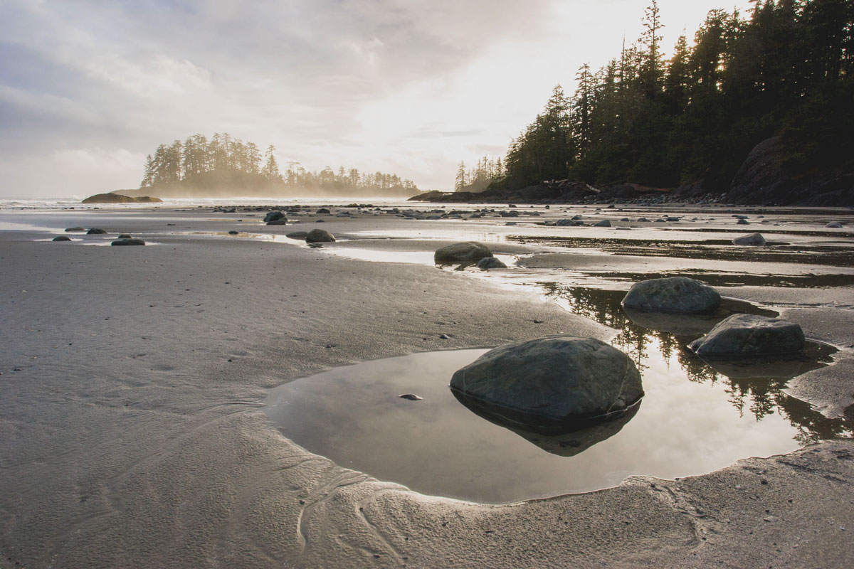 Photo of tide pools and beach on Western Vancouver Island.